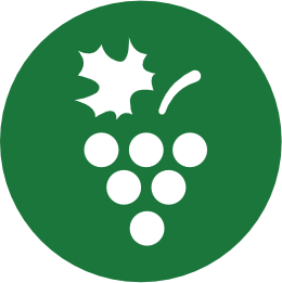 icon-3